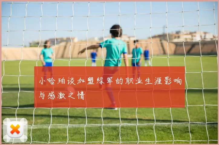 小哈珀谈加盟绿军的职业生涯影响与感激之情